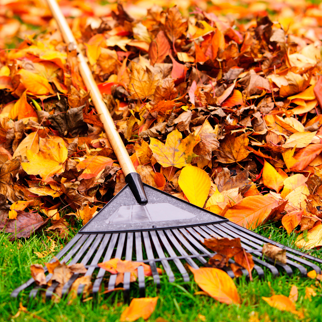 Welcome Autumn: Transform Your Entryway with Stylish Fall Doormats