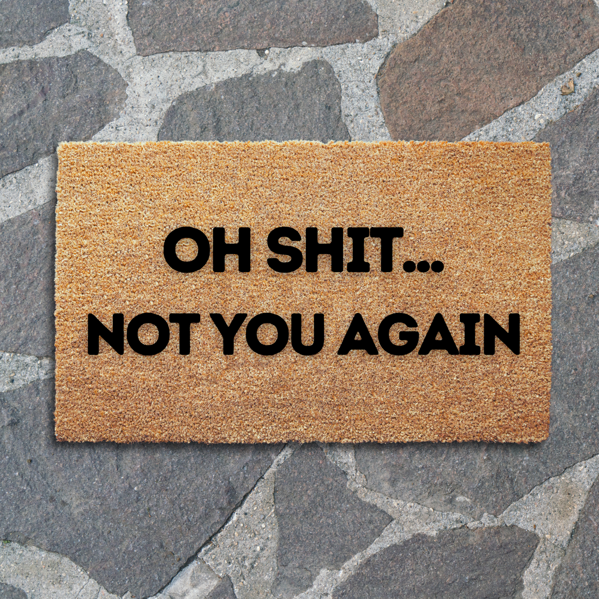 Oh Shit Not You Again Doormat